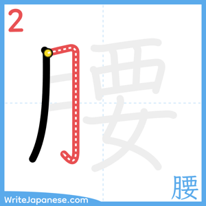 How to write "腰" - stroke 2