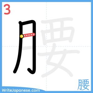 How to write "腰" - stroke 3