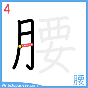 How to write "腰" - stroke 4