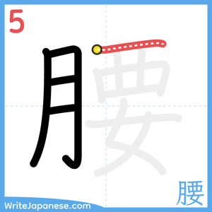 How to write "腰" - stroke 5