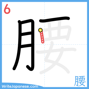 How to write "腰" - stroke 6