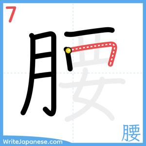 How to write "腰" - stroke 7