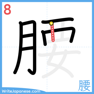 How to write "腰" - stroke 8