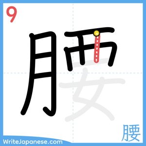 How to write "腰" - stroke 9