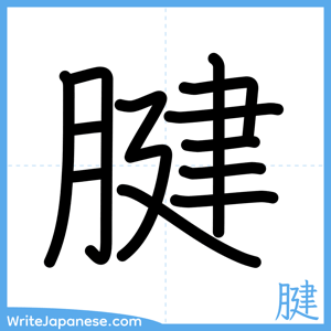 How to write "腱" - complete stroke order