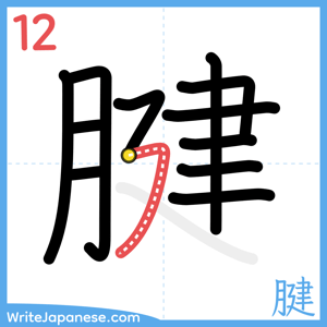 How to write "腱" - stroke 12