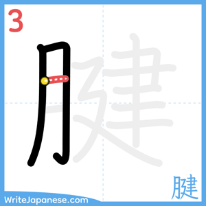 How to write "腱" - stroke 3