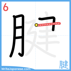 How to write "腱" - stroke 6