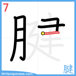 How to write "腱" - stroke 7