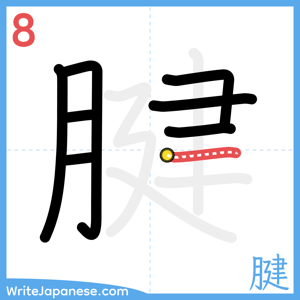 How to write "腱" - stroke 8