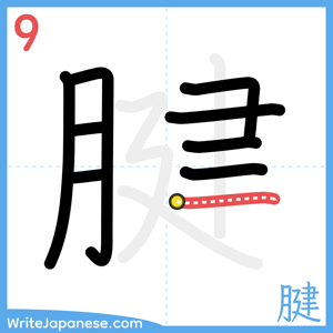 How to write "腱" - stroke 9