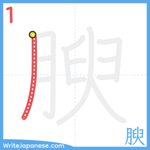How to write "腴" - stroke 1