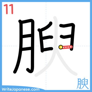 How to write "腴" - stroke 11