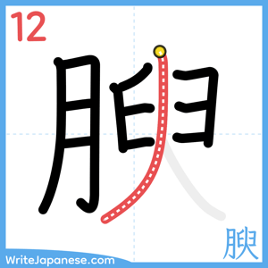 How to write "腴" - stroke 12