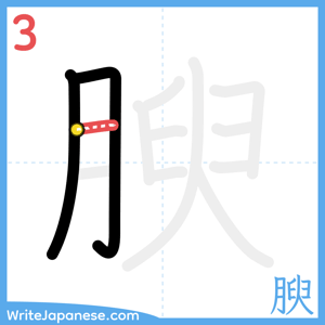 How to write "腴" - stroke 3