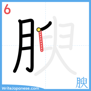 How to write "腴" - stroke 6
