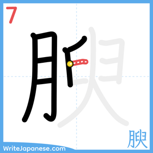 How to write "腴" - stroke 7
