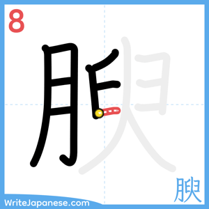 How to write "腴" - stroke 8