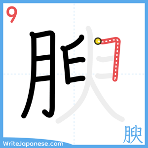 How to write "腴" - stroke 9