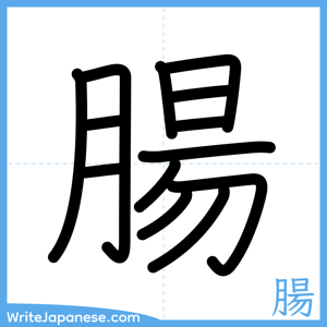 How to write "腸" - complete stroke order