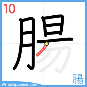 How to write "腸" - stroke 10