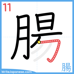 How to write "腸" - stroke 11