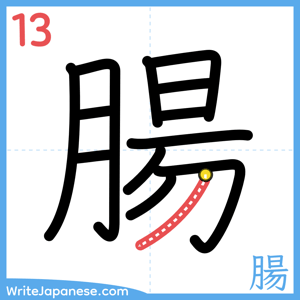 How to write "腸" - stroke 13