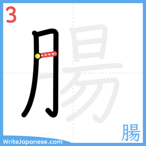 How to write "腸" - stroke 3