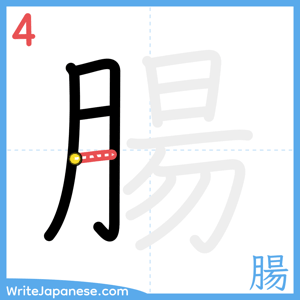 How to write "腸" - stroke 4