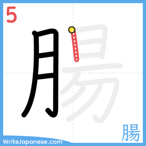 How to write "腸" - stroke 5