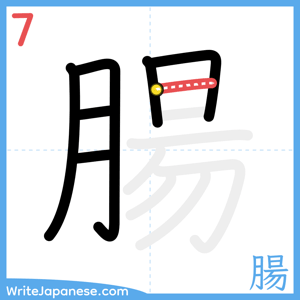 How to write "腸" - stroke 7