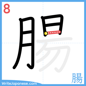 How to write "腸" - stroke 8