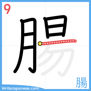How to write "腸" - stroke 9