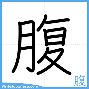 How to write "腹" - complete stroke order