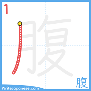 How to write "腹" - stroke 1