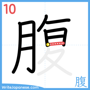 How to write "腹" - stroke 10