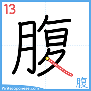How to write "腹" - stroke 13