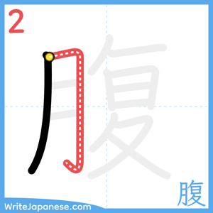 How to write "腹" - stroke 2