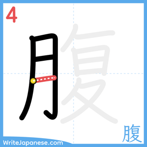 How to write "腹" - stroke 4