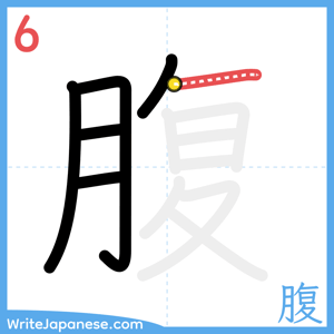 How to write "腹" - stroke 6