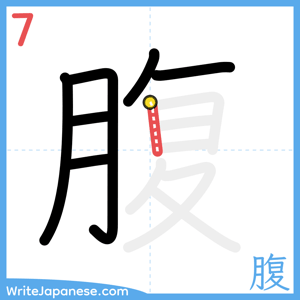 How to write "腹" - stroke 7