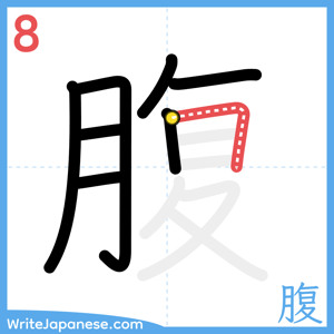 How to write "腹" - stroke 8
