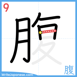 How to write "腹" - stroke 9