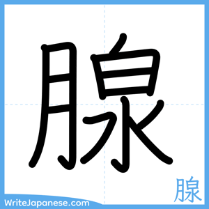 How to write "腺" - complete stroke order