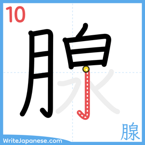 How to write "腺" - stroke 10