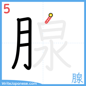 How to write "腺" - stroke 5