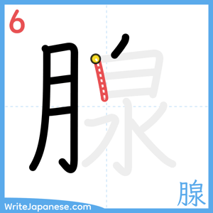 How to write "腺" - stroke 6