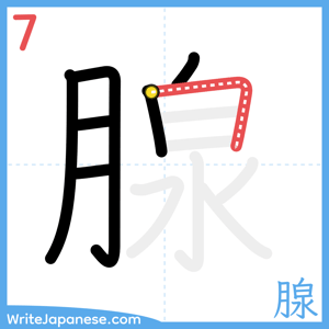 How to write "腺" - stroke 7