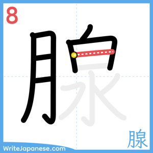How to write "腺" - stroke 8