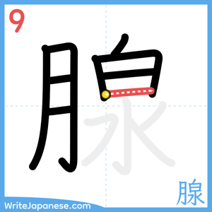 How to write "腺" - stroke 9